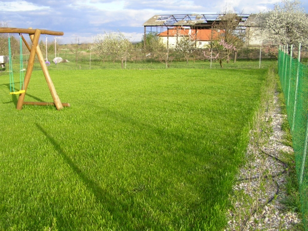 Fvests utn - Balatonszrsz - kertpts kpek