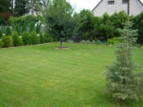 Kert�p�t�s Balatonf�red 10. k�p