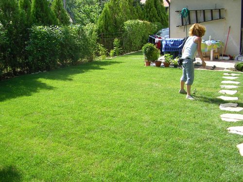 Kert�p�t�s Si�fok Sz�plak 1. k�p