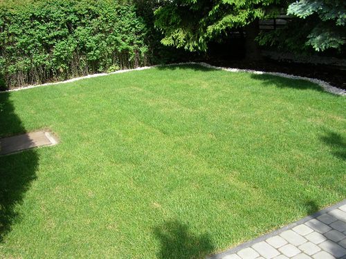 Kert�p�t�s Si�fok Sz�plak 6. k�p