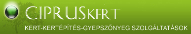Kertpts-gyepsznyeg